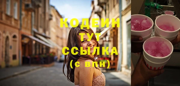 сатива Богородицк