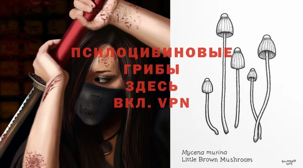 ешки Богородск