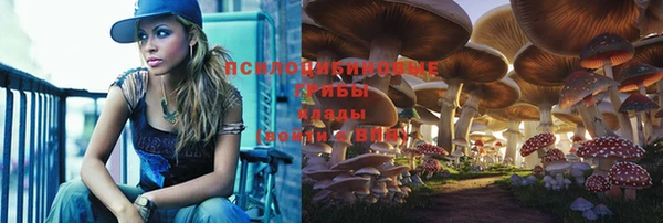 2c-b Богданович