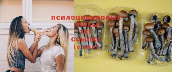 сатива Богородицк